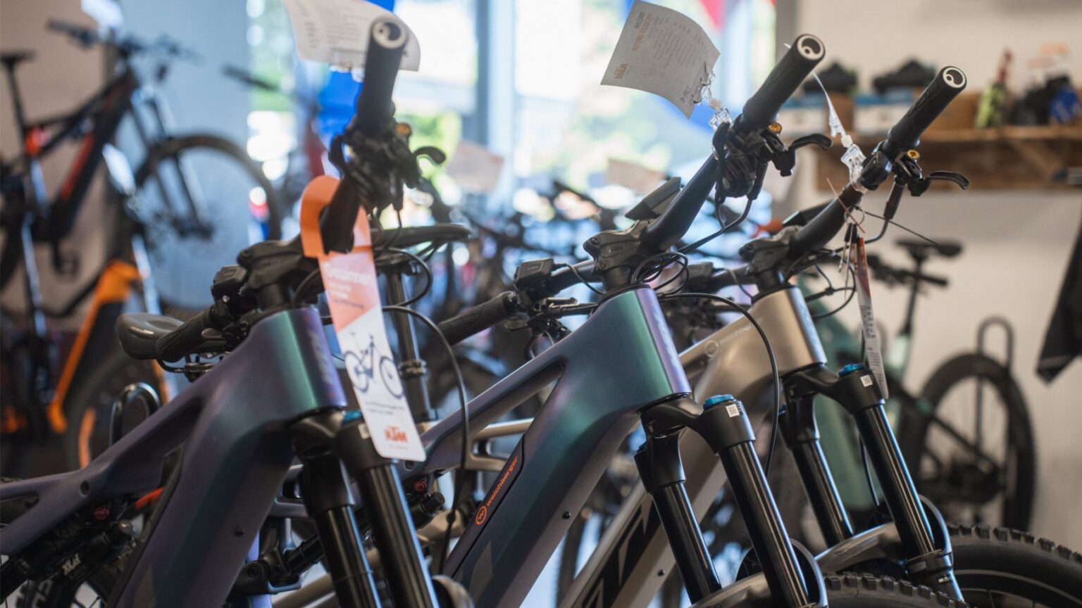 Mehrere E-Bikes nebeneinander im Schauraum von Weichberger